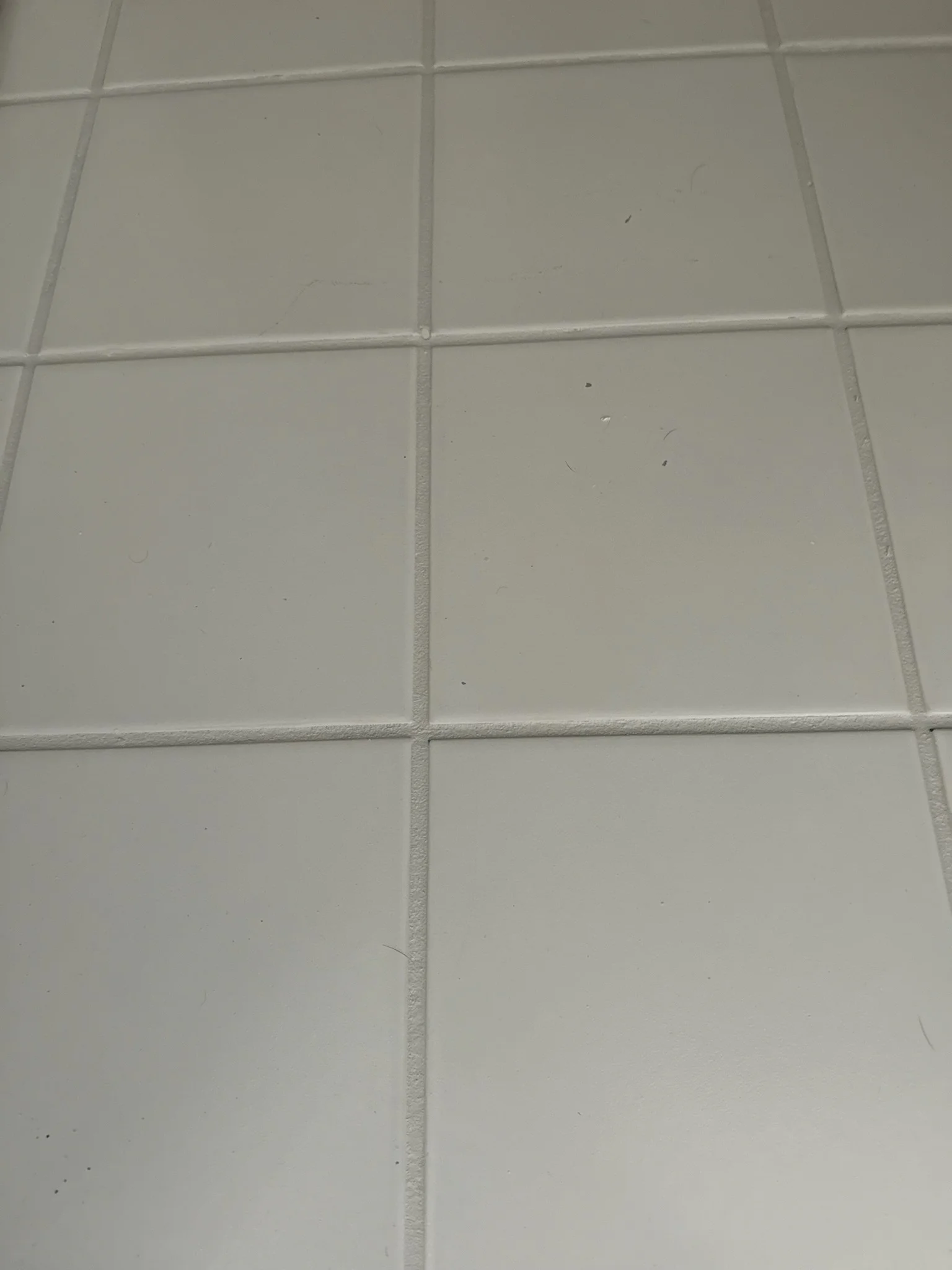 Grout Cleaning and Sealing Nj